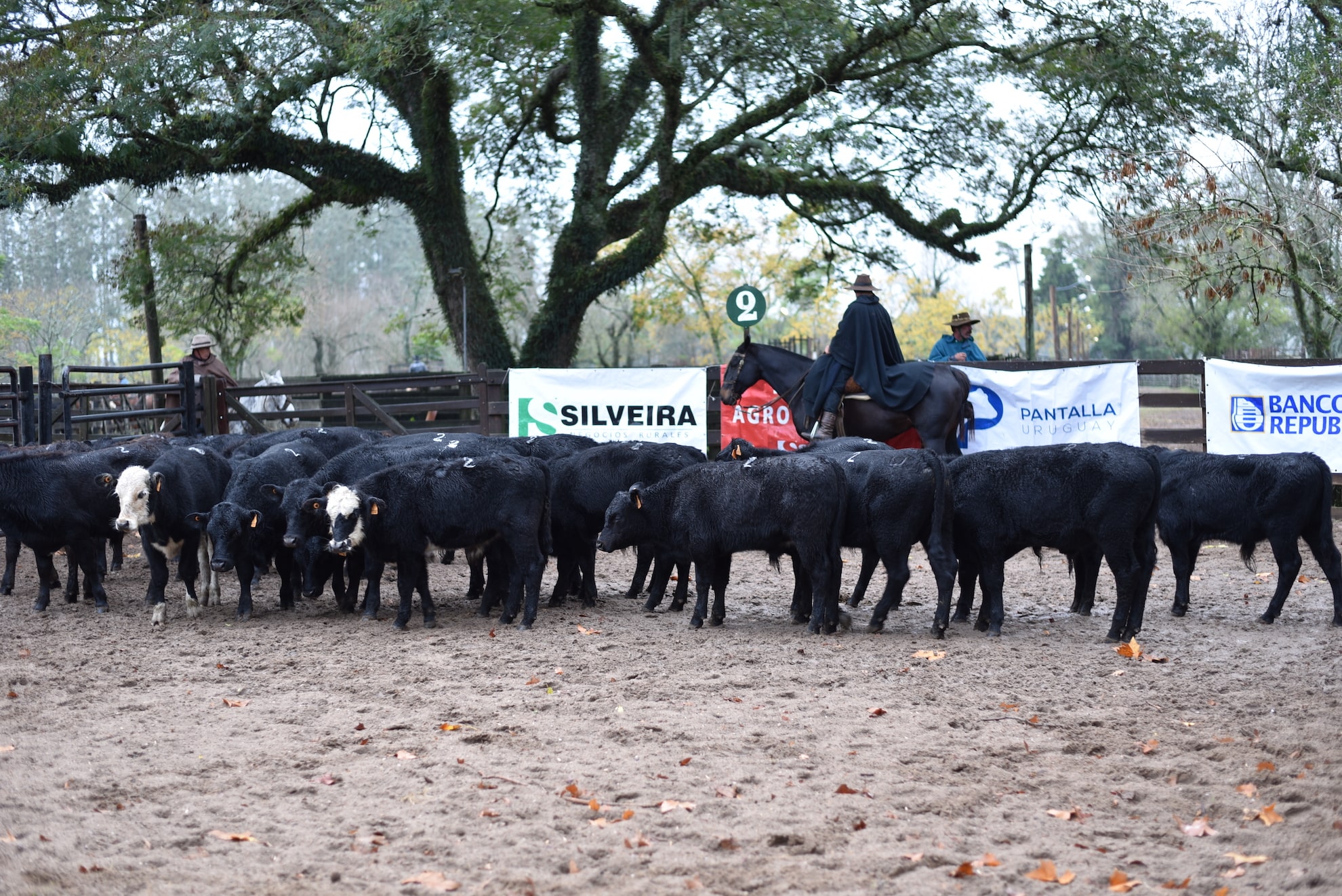Remate Feria Melo